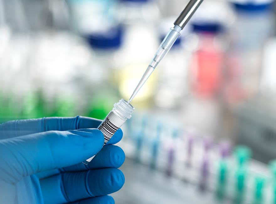 Gut & Systemic Health